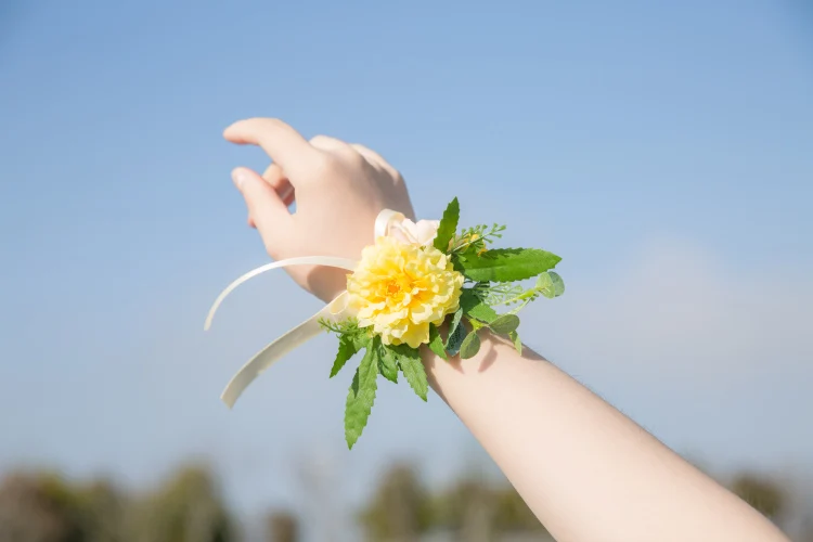 TB2b6nDhSBYBeNjy0FeXXbnmFXa_!!105223138