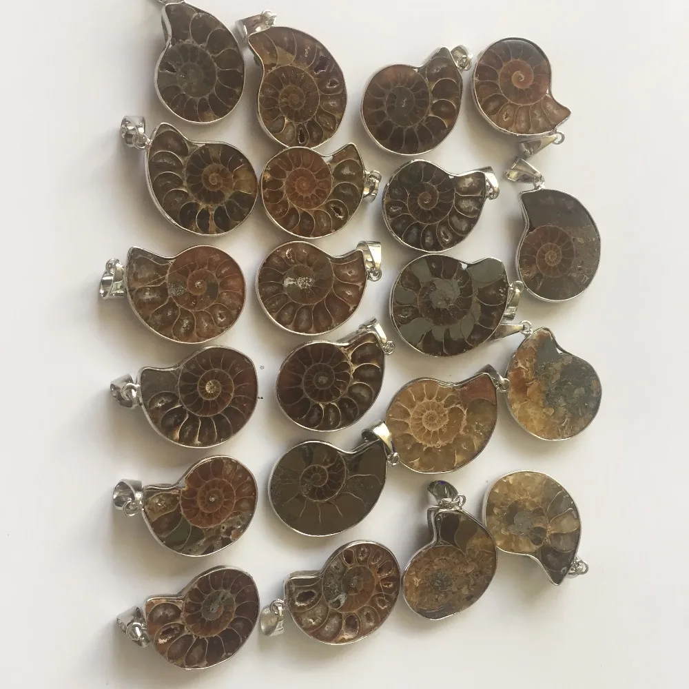 

2019 Best Pendant Decoration Crystal Speical Natural Minerals Stone 10pcs a lots Ammonite fossils Pendant Craft gift