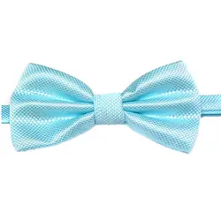 Для мужчин обычный полиэстер Предварительно Связанные Свадебный галстук-бабочка (Голубое озеро)