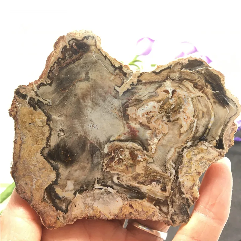 003 (1)