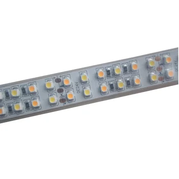 

5mX New arrival DC24V input 240LED/m 3528SMD CCT adjustable LED strip color temperature flexible led strip free shipping