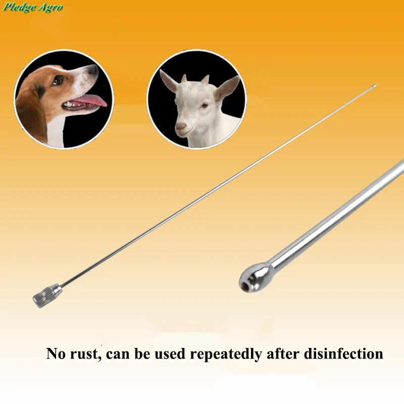 

Sheep Insemination Needles Dog Fresh Semen Injection Artificial Insemination Equipment Canine whelp Kid Rod Catheter Tools Agro