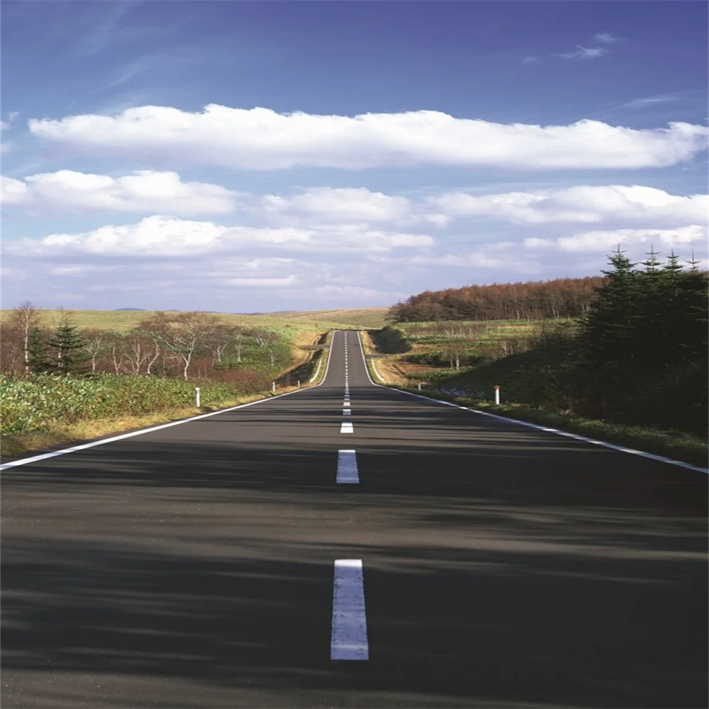 

Laeacco Countryside Wild Asphalt Road Scene Photographic Backgrounds Customized Photography Backdrops For Photo Studio