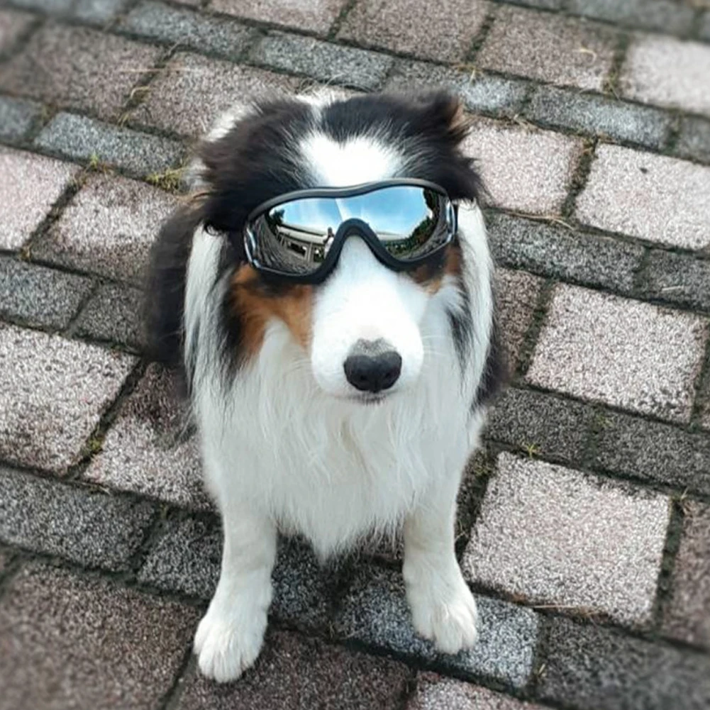 Новая мода собака УФ солнцезащитные очки, солнцезащитные очки Защита для глаз