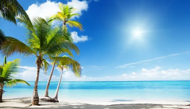 Free Shipping Vinyl 3x5ft Scenery Beach Photography Background Free Shipping Vinyl 3x5ft Scenery Beach Photography Background Screen Cool Photo Studio Customizable Backdrops 1x1