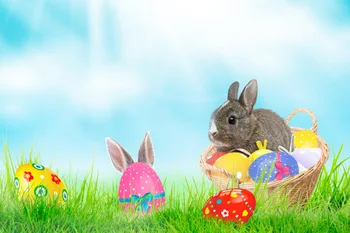 

Rabbit Lawn Eggs Easter Decor For Photo Studio Backgrounds Baby Shower Backdrop E190127A53