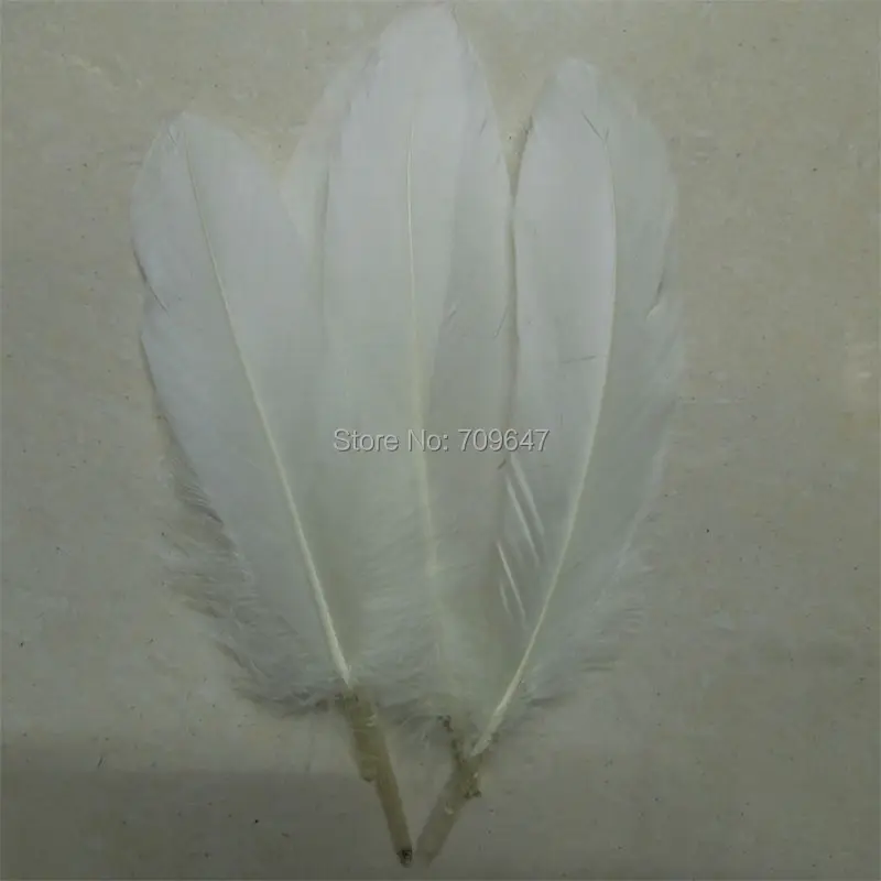FMQ0090