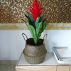 WHISM-panier à linge fait main, panier de rangement pour jouets en osier, paille pliable, herbes marines, Pot de fleurs de jardin, jardinière pour jouets, articles divers ► Photo 3/6