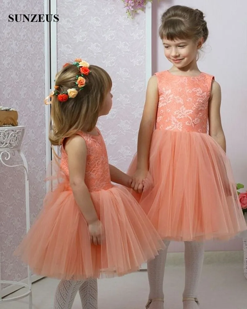 conew_33 (2)_conew1