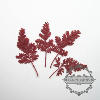 

small packs real dry pressed flower red leaf craft for DIY glass dome resin filling 1503093