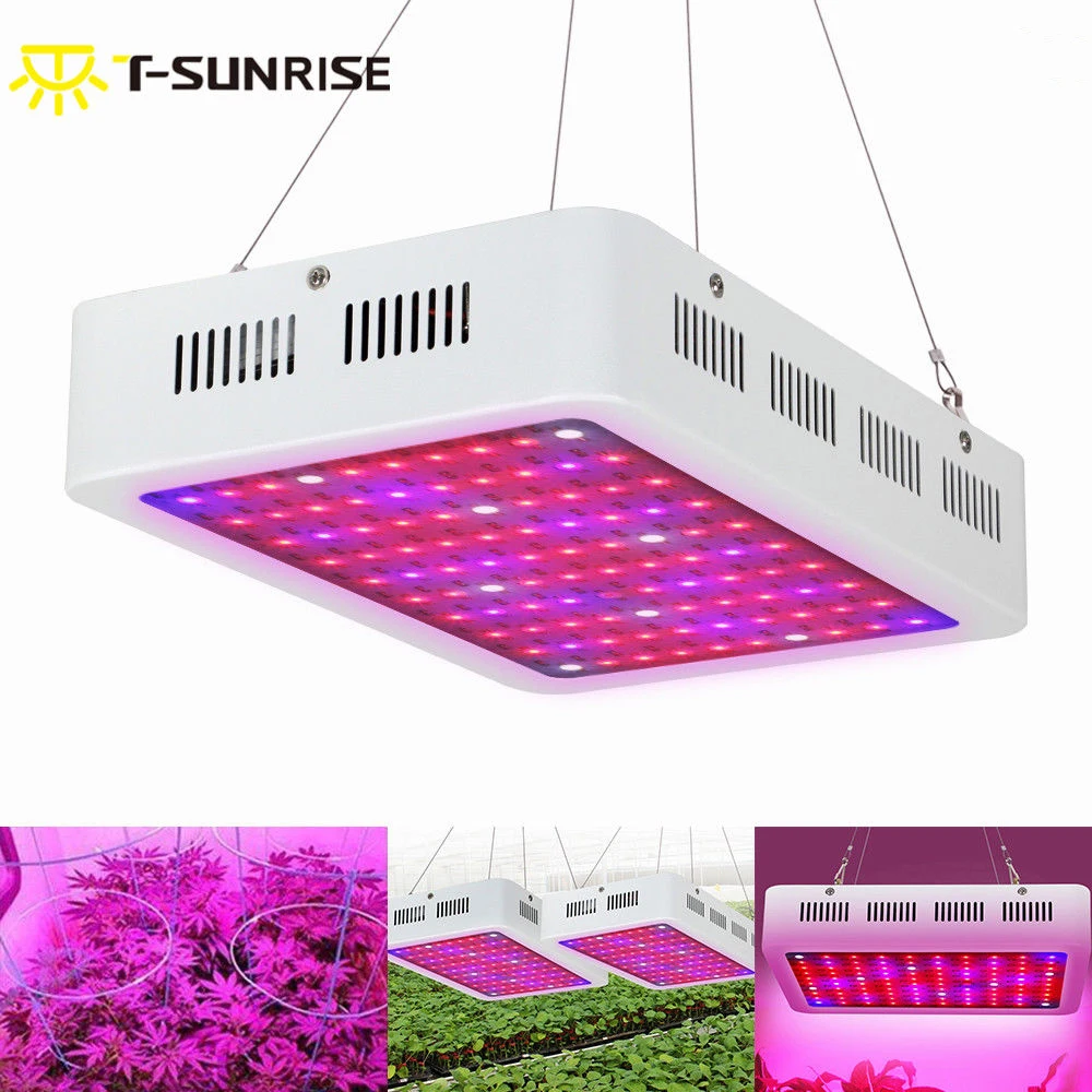 s-l1600
