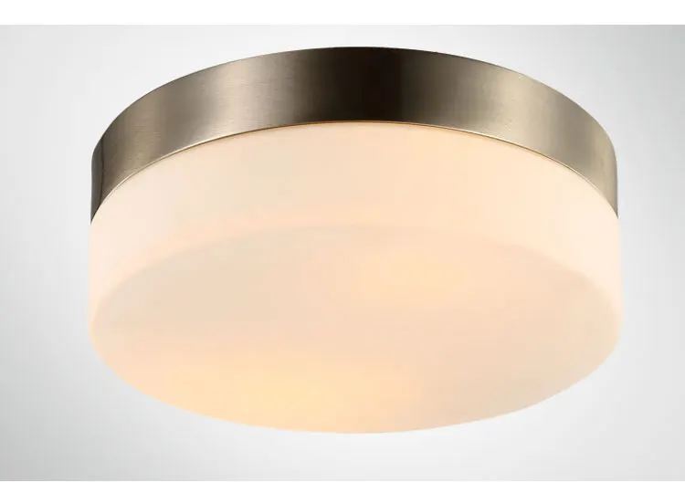 29cm modern Led iron glass Ceiling Light Round Glass Lampshade lamparas de techo abajur