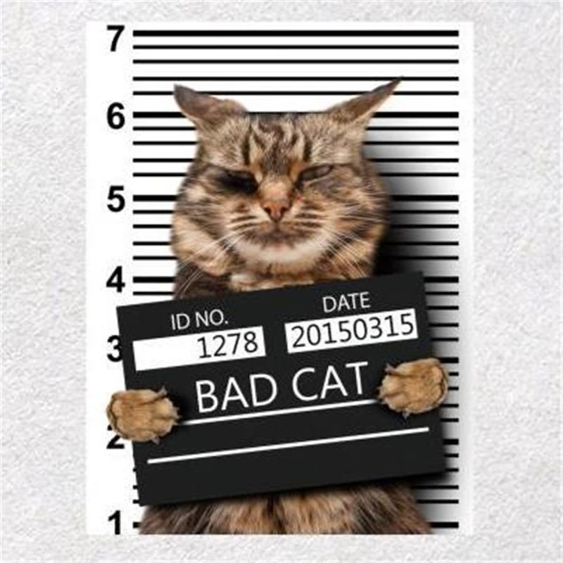  Fashion Cute Patch Clothes 247mm BAD CAT 3d stickers fabric Thermal Transfer Printing Iron on patches for clothing T shirt Women 