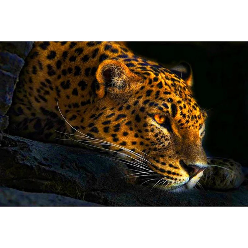 

LZAIQIZG 3D DIY Diamond Embroidery,Cross Stitch,Painting "Proud Panther",Full Square&Round Diamond Painting,Home Decoration