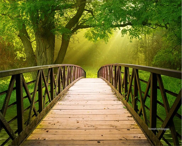 Best Wooden Bridge Design Best Wooden Bridge Design