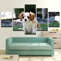 Холст Печатный плакат живопись Куадрос украшения дома 5 панелей животных милая собака стены Книги по искусству модульные картинки для