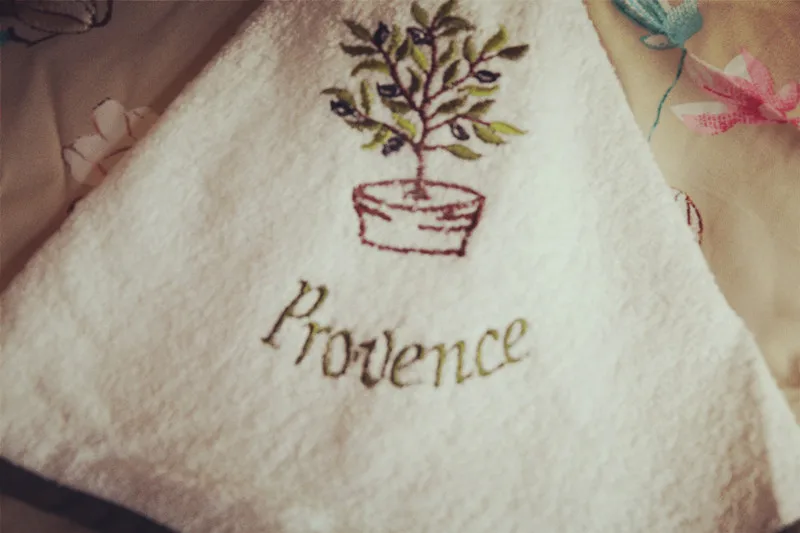 IMG_2047_