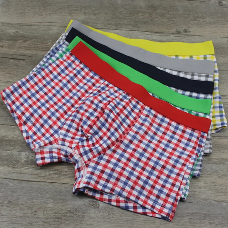 4949179254_1095324485