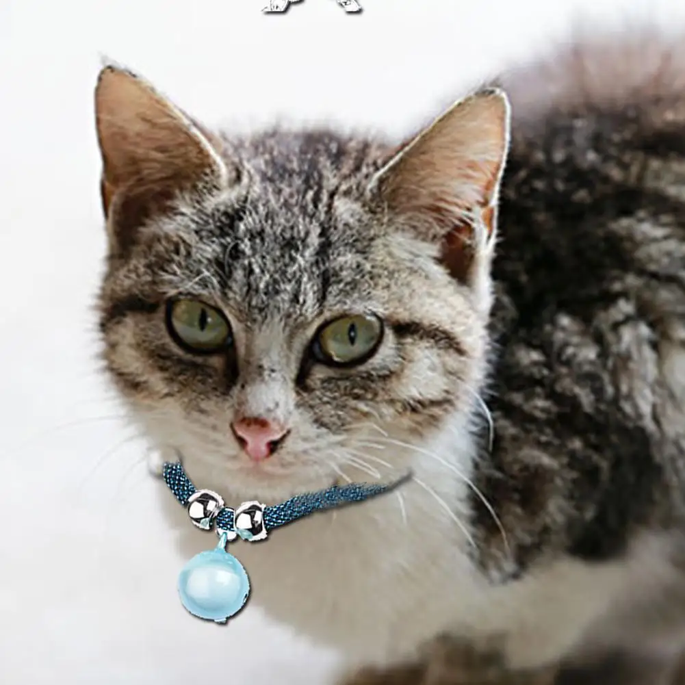 Adjustable Cat Collar Necklace Anti lost Pet Small Dogs Collar Kitten