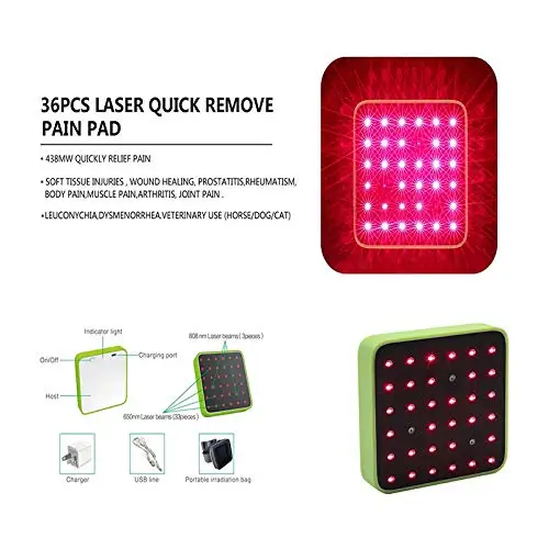 

Portable Pain Relief Health Care Physical Therapy Device Electronic Laser Acupuncture Device