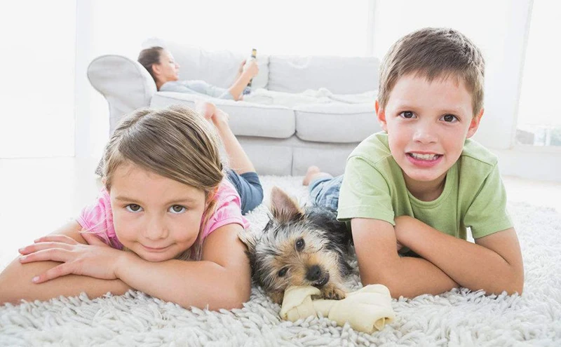 9060357849_1701769528