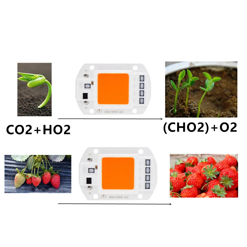 Levou Crescer Luzes 20 w 30 w led Garantia : 2years
