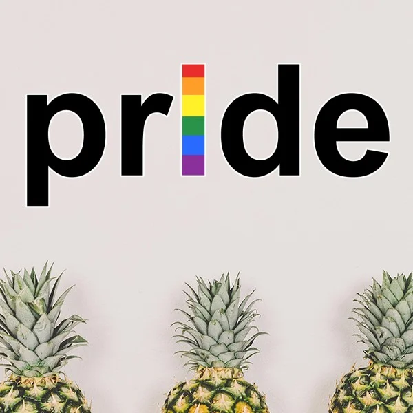 Suporte Bandeira Do Orgulho Transgender Lésbicas Bissexuais Rainbow