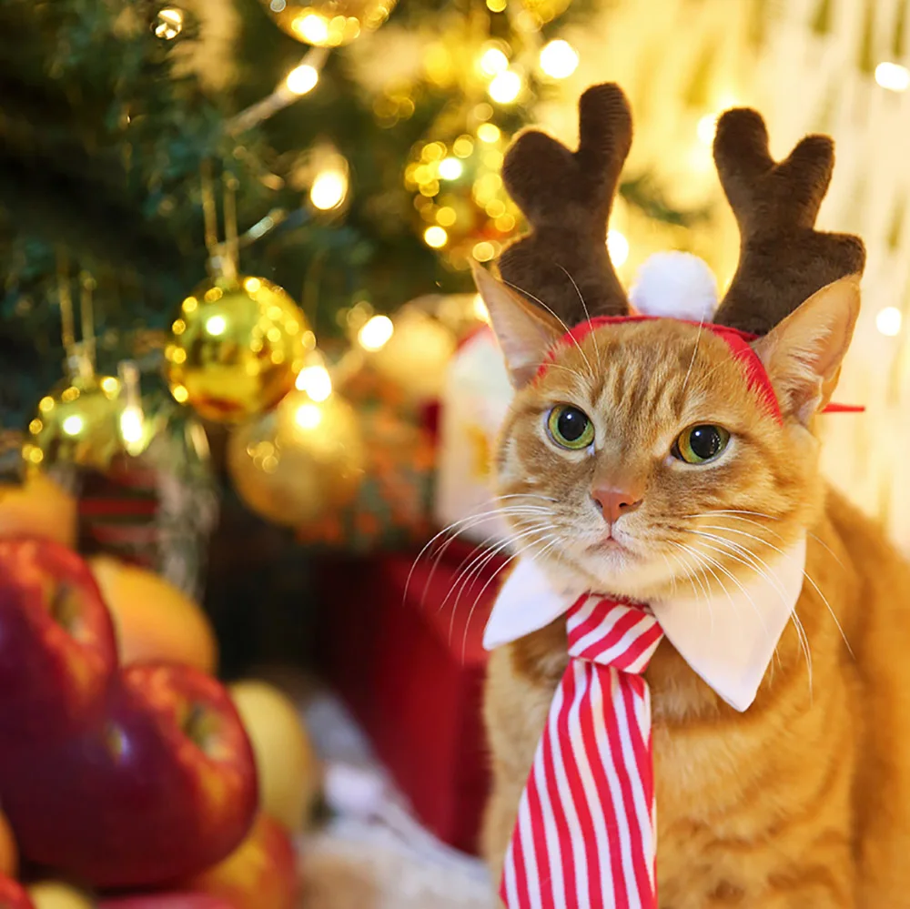 Рождественский ободок в виде лося для кошек, украшения для волос для собак, Аксессуары для кошек, товары для домашних животных на Хэллоуин, забавные реквизиты для фотографий