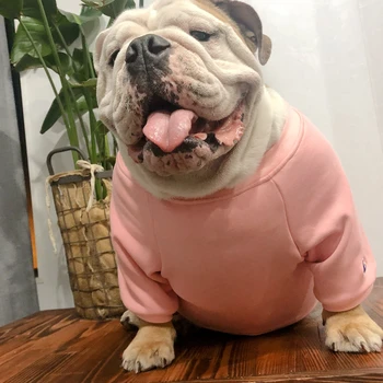 

[MPK Dog Wear] Champion Sweater for Fat Dogs, Suitable for English Bulldogs, Big-Chested Dogs, Chest 70cm to 85cm