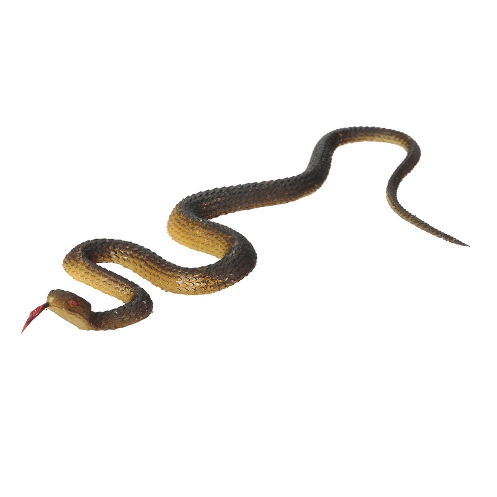 rubber snakes
