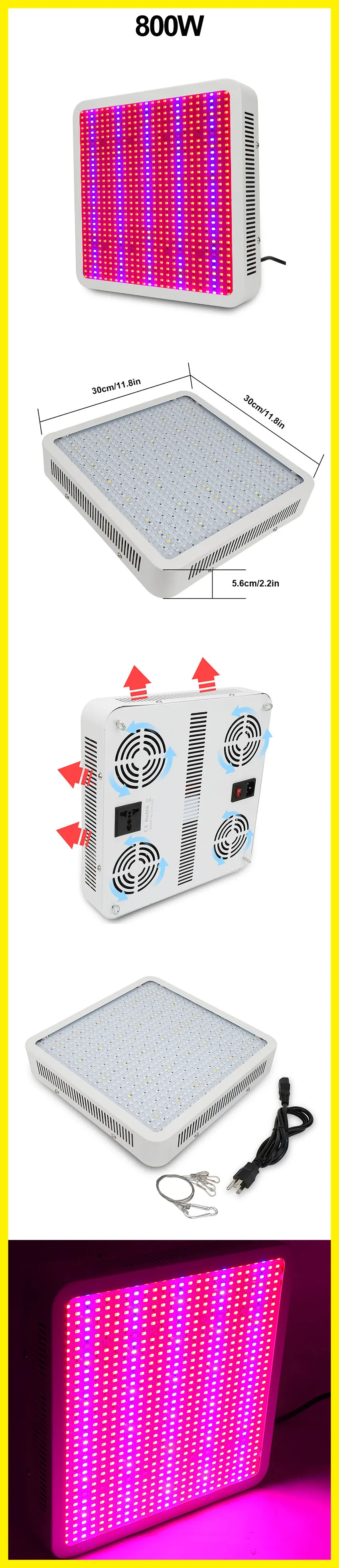 800w