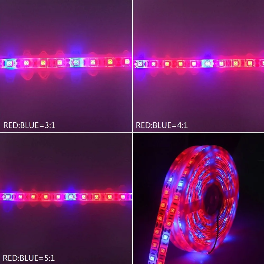5 м светодиодный водонепроницаемый полный спектр полосы света 300 светодиодный s 5050 Чип Fitolampy растут огни для теплицы гидропоники Растущая