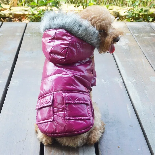 north face dog coat