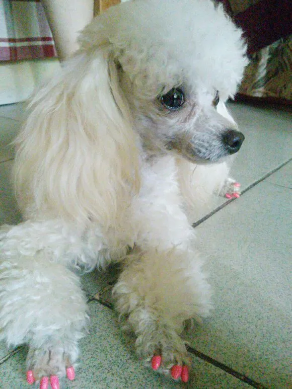 a08b87d6277f9e2fe8390fa01e30e924b899f30e