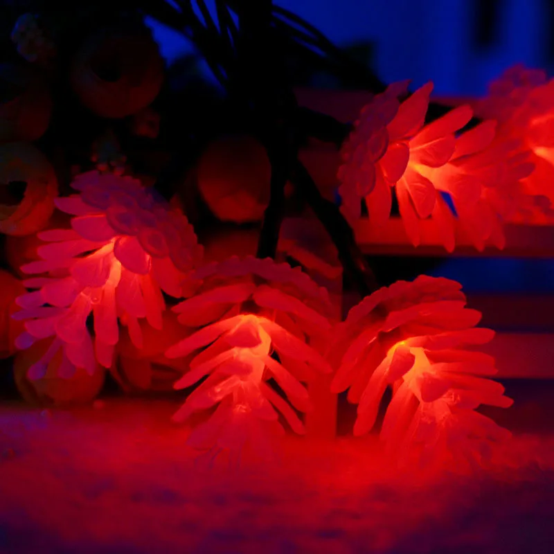 Pineal Solar String Lights SOCO (17)