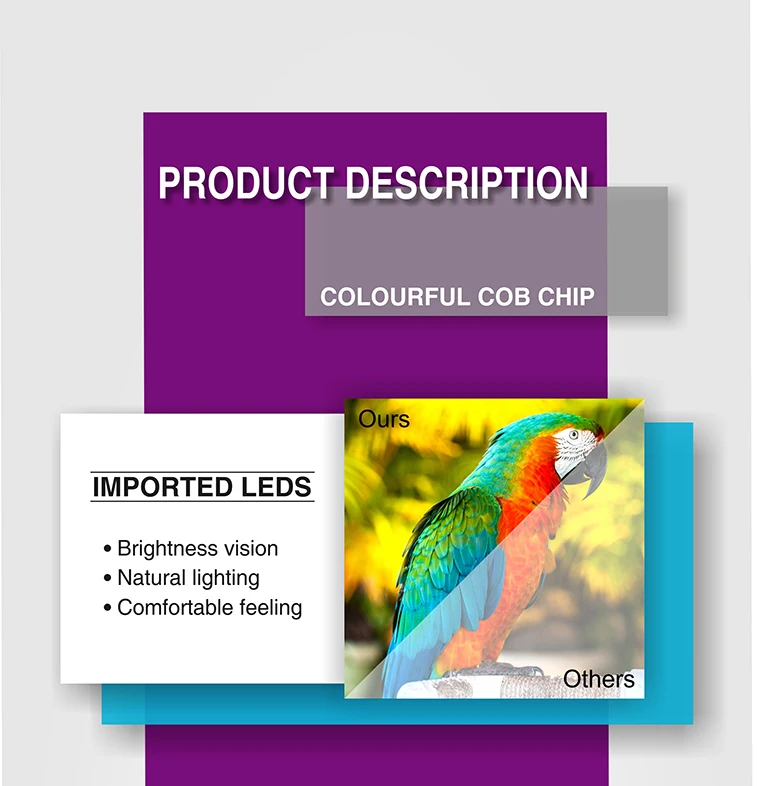 COB_03_01