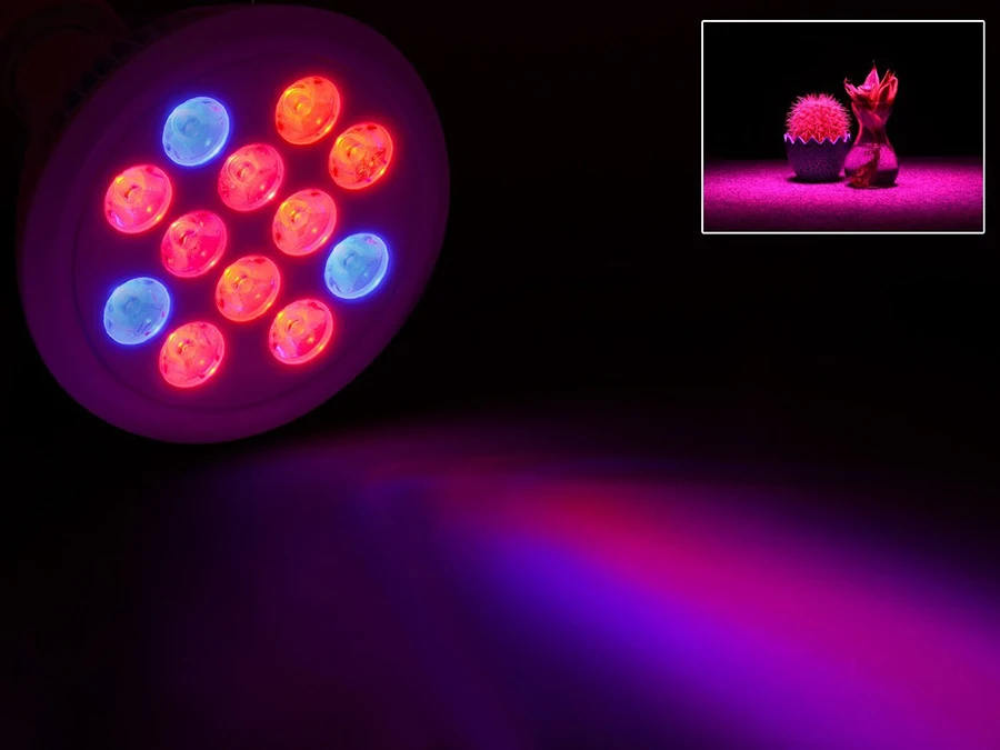 61pbHmX%2BJTL._SL1500_