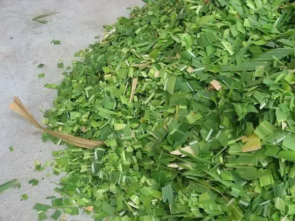 Clearance grass cutting machine hay cutter straw cutting machine 5 Clearance grass cutting machine hay cutter straw cutting machine 5