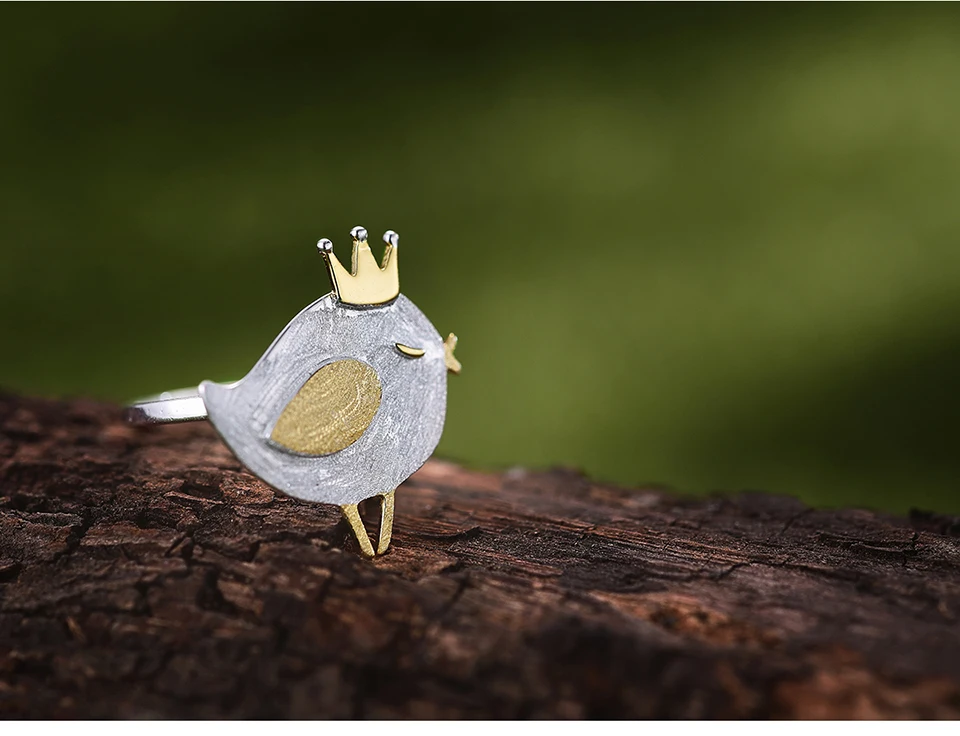 LFJD0085-Lovely-Princess-Bird_05