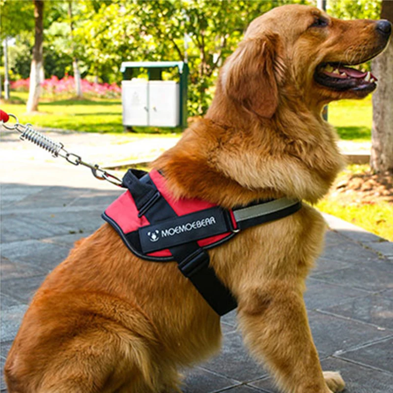 Buy Pet Dog Leads Chest Straps Harness Vest