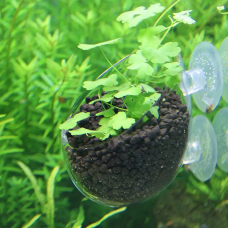 

New Aquaculture Cup decoration fish tank Mini Crystal Glass Pot Polka Water potted aquatic planting cylinder cup AB