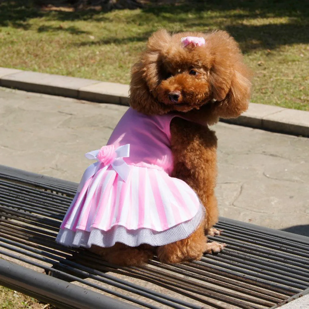 2019 Pet Dog Puppy Dress Solid Spring Pink Dress Dog Clothes Skirt Pet