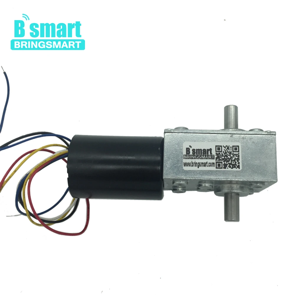 

Bringsmart DC Gear Motor Worm 12V 24V Double Shaft High Torque Mini Turbine Worm Reducer Reversible Advertising Board A58SW31ZYS