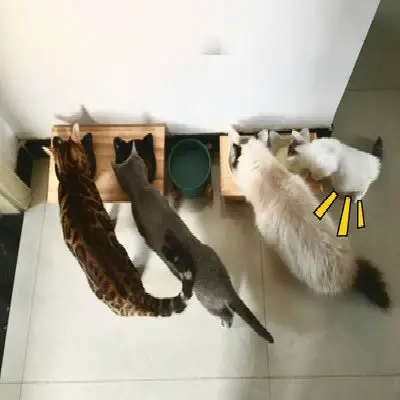 O1CN012EipWobKUiA2dA9_!!0-rate.jpg_400x400