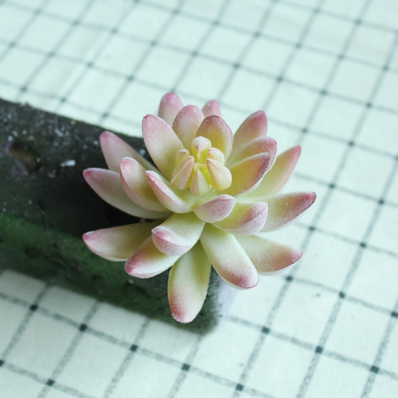 Новый DIY Искусственные растения сочные Мороз Лотос кактус пейзаж моделирование