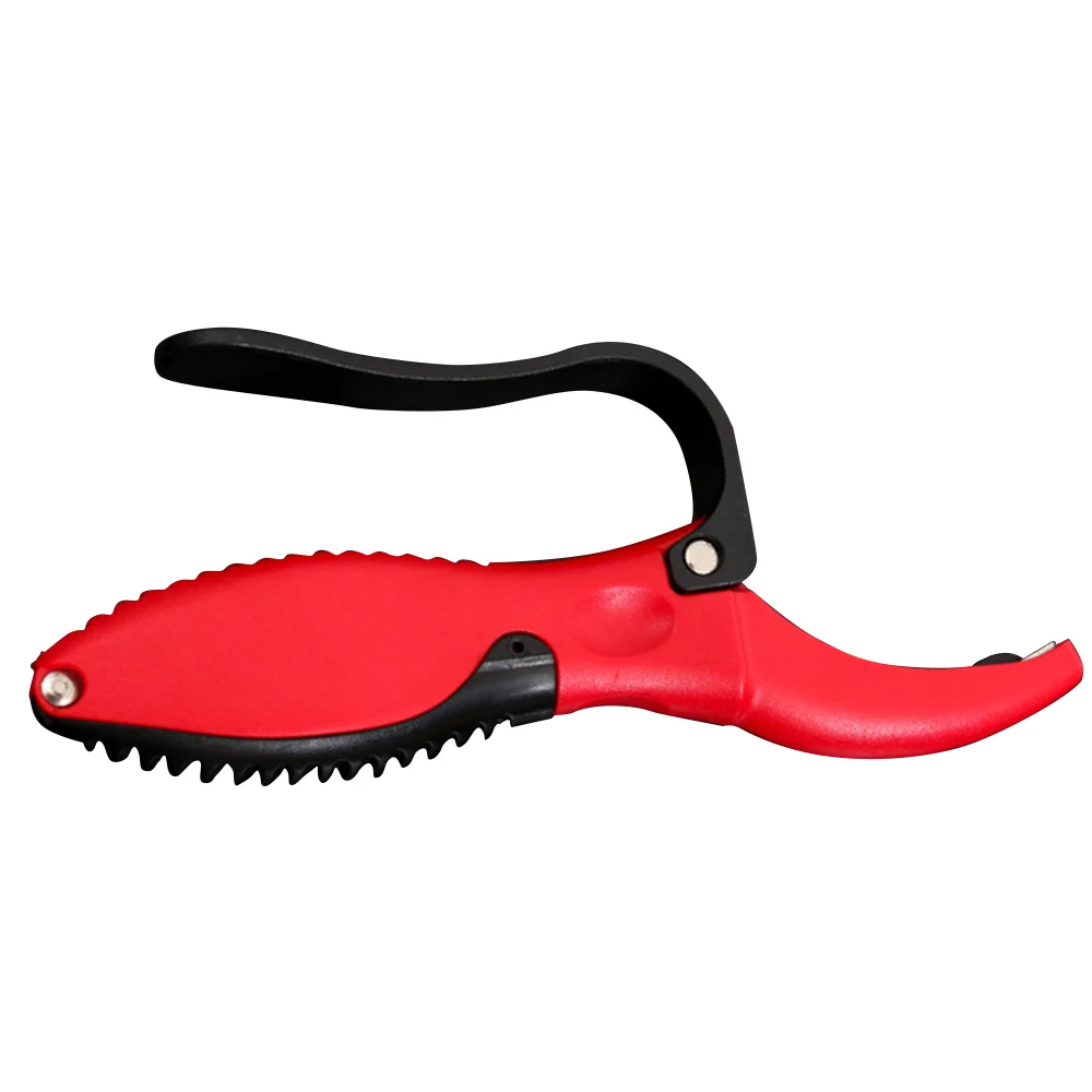 Garden Tools