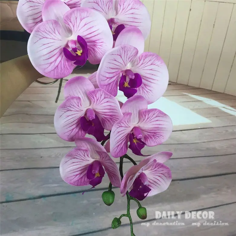 3561344353_1590719551