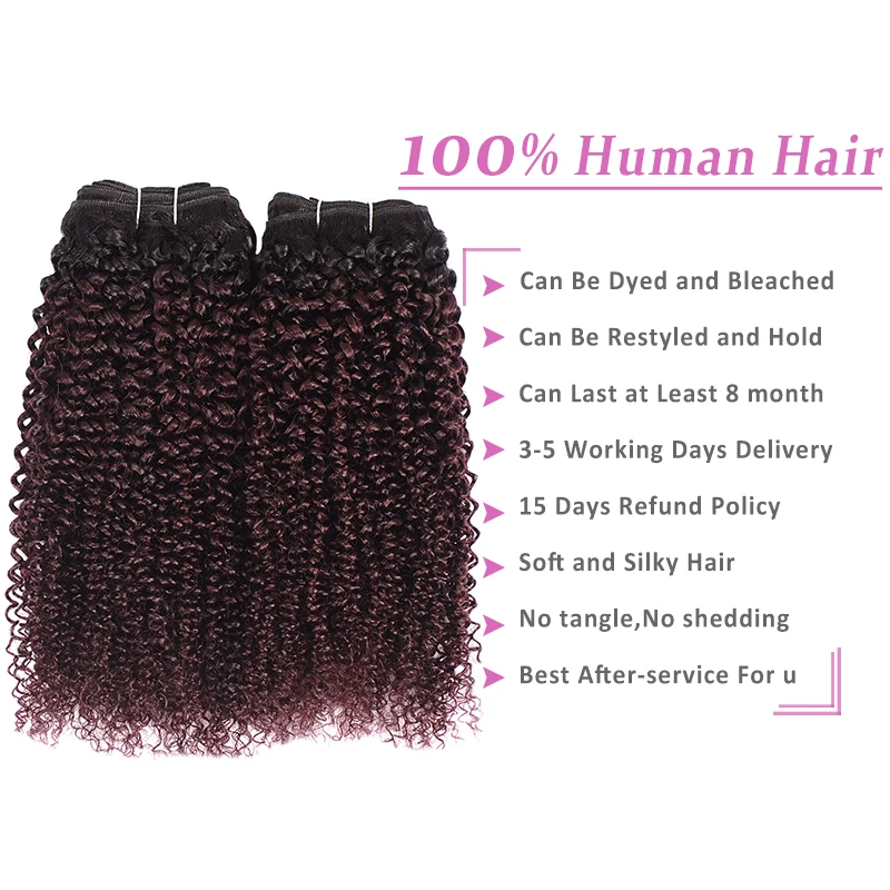 Grape Purple Peruvian Hair 3 Bundles With Closure Ombre Burgundy Human Hair Kinky Curly Bundles With Closure Non Remy Pinshair Grape Purple Peruvian Hair 3 Bundles With Closure Ombre Burgundy Human Hair Kinky Curly Bundles With Closure Non Remy Pinshair