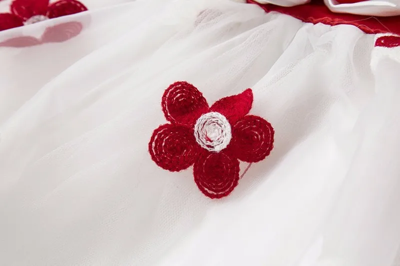Newborn Flower Dress (3)