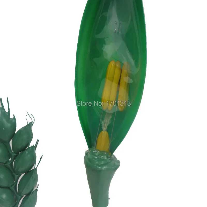 Magnification Wheat flower model Special decoration Family personalized decorative Figurines